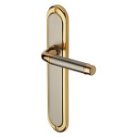 M Marcus Heritage Brass Saturn Long Design Door Handle on Plate Jupiter Split Finish