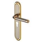 M Marcus Heritage Brass Saturn Long Design Door Handle on Plate Jupiter Split Finish